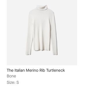 Everlane Italian Merino Wool Turtleneck